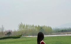 狗狗的大东西卡在B里了文章